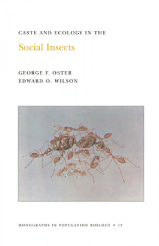 Książka Caste and Ecology in the Social Insects. (MPB-12), Volume 12 George F. Oster