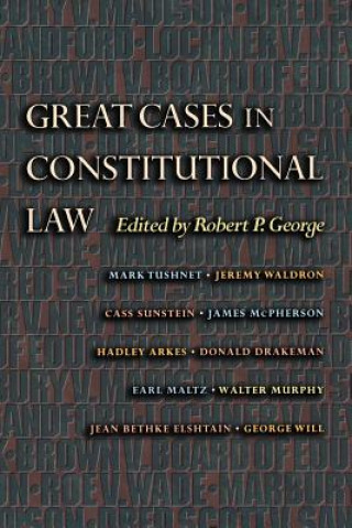 Książka Great Cases in Constitutional Law Robert P. George