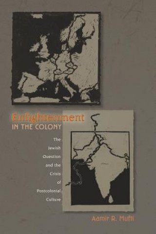 Buch Enlightenment in the Colony Aamir R. Mufti