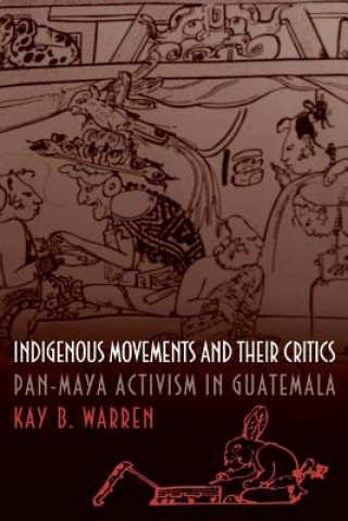 Kniha Indigenous Movements and Their Critics Kay B. Warren