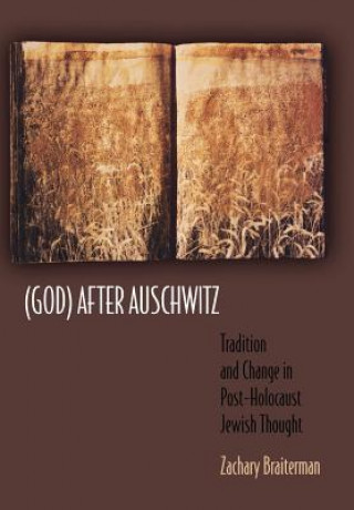 Boek (God) After Auschwitz Zachary Braiterman