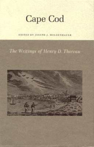 Kniha Writings of Henry David Thoreau Henry David Thoreau