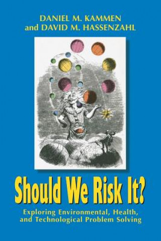 Book Should We Risk It? David M. Hassenzahl