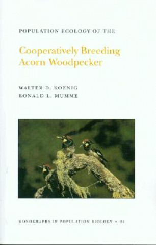 Könyv Population Ecology of the Cooperatively Breeding Acorn Woodpecker. (MPB-24), Volume 24 Walter D. Koenig