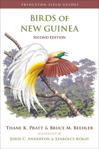 Książka Birds of New Guinea Bruce M. Beehler