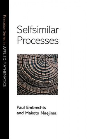 Könyv Selfsimilar Processes Paul Embrechts