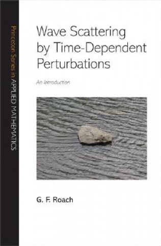 Knjiga Wave Scattering by Time-Dependent Perturbations G. F. Roach