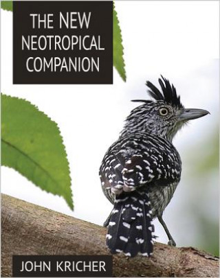 Книга New Neotropical Companion John C. Kricher