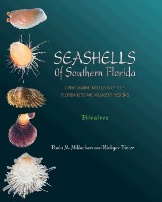 Kniha Seashells of Southern Florida Paula M. Mikkelsen