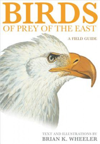 Kniha Birds of Prey of the East Brian K. Wheeler