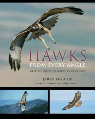 Książka Hawks from Every Angle Jerry Liguori