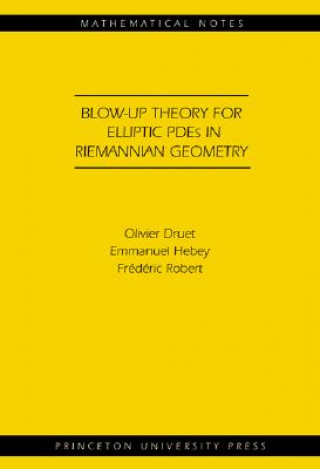 Βιβλίο Blow-up Theory for Elliptic PDEs in Riemannian Geometry (MN-45) Olivier Druet