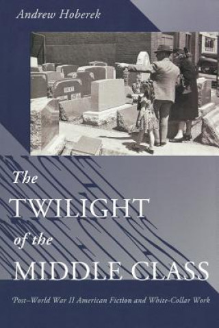 Kniha Twilight of the Middle Class Andrew Hoberek