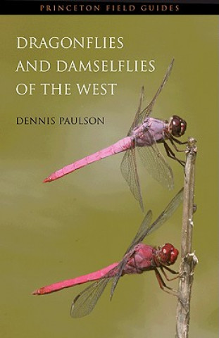 Książka Dragonflies and Damselflies of the West Dennis Paulson