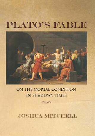 Książka Plato's Fable Joshua Mitchell