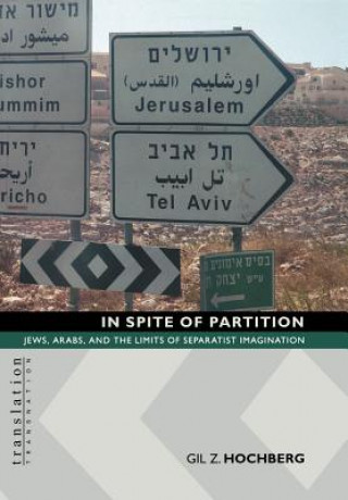 Kniha In Spite of Partition Gil Z. Hochberg
