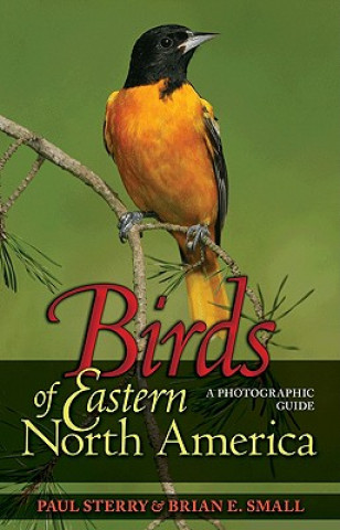 Книга Birds of Eastern North America Paul Sterry