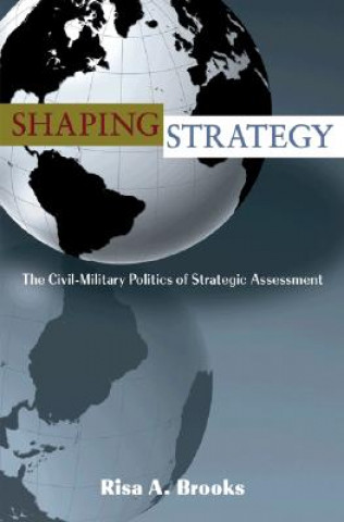 Buch Shaping Strategy Risa Brooks