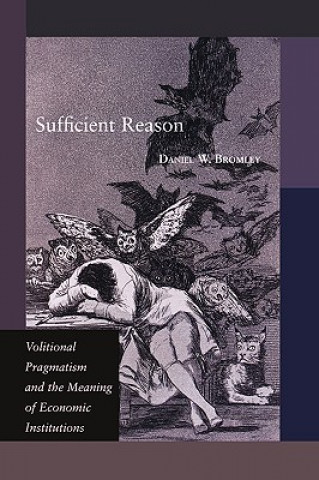 Buch Sufficient Reason Daniel W. Bromley