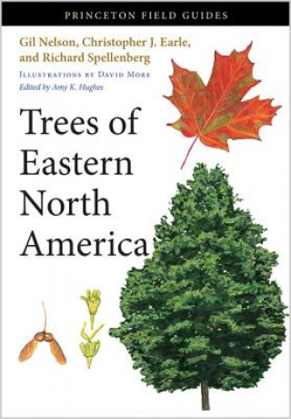 Könyv Trees of Eastern North America Gil Nelson