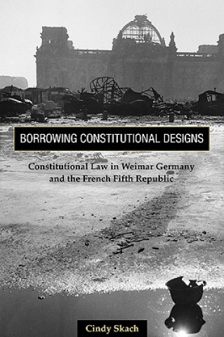 Knjiga Borrowing Constitutional Designs Cindy Skach