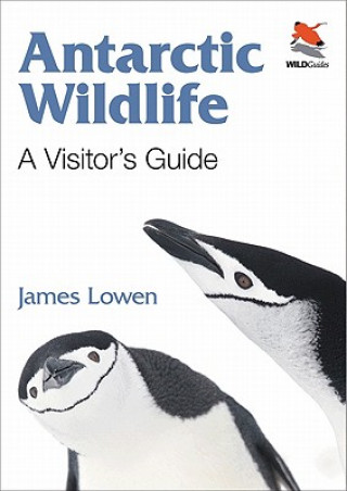 Kniha Antarctic Wildlife James Lowen