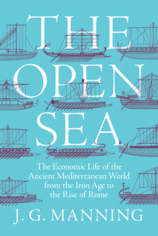 Knjiga Open Sea Joseph Manning