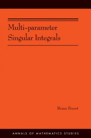 Knjiga Multi-parameter Singular Integrals. (AM-189), Volume I Brian Street