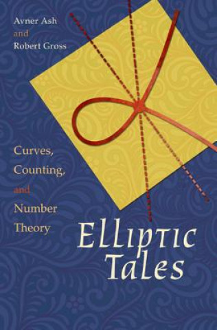 Kniha Elliptic Tales Robert Gross