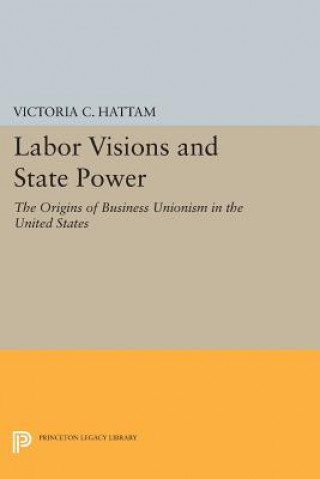 Buch Labor Visions and State Power Victoria C. Hattam