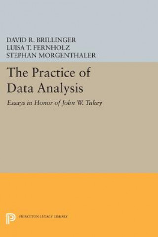 Kniha Practice of Data Analysis David R. Brillinger