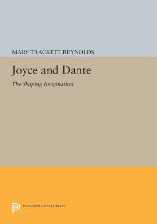 Buch Joyce and Dante Mary Trackett Reynolds