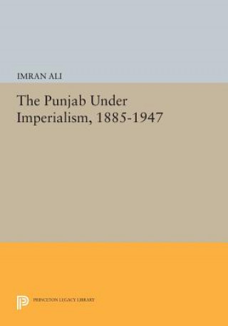Könyv Punjab Under Imperialism, 1885-1947 Imran Ali