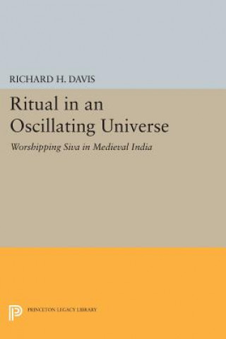 Kniha Ritual in an Oscillating Universe Richard H. Davis