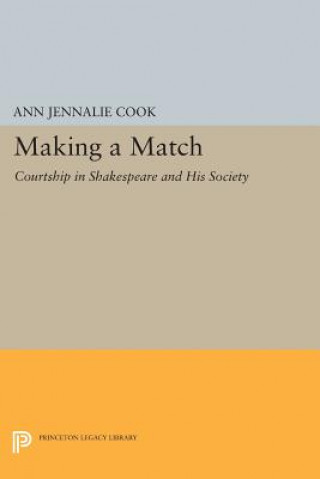 Boek Making a Match Ann Jennalie Cook