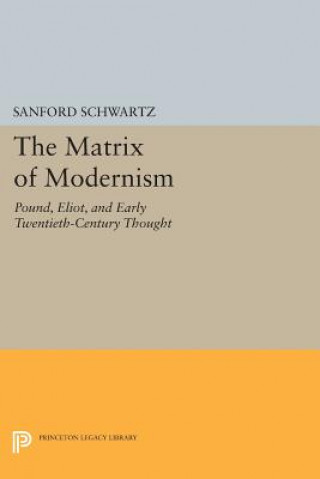 Carte Matrix of Modernism Sanford Schwartz