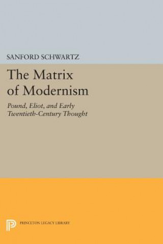 Book Matrix of Modernism Sanford Schwartz