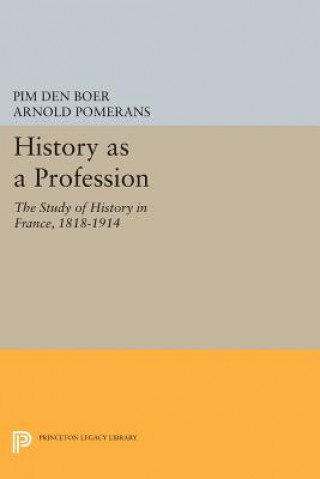 Buch History as a Profession Pim den Boer