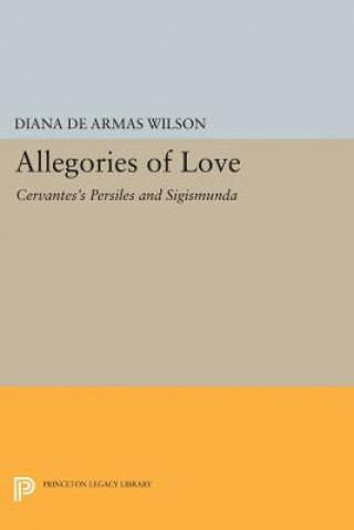 Buch Allegories of Love Diana de Armas Wilson