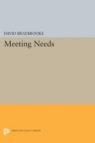 Livre Meeting Needs David Braybrooke