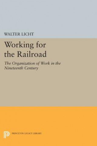 Kniha Working for the Railroad Walter Licht