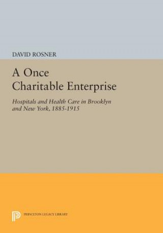 Kniha Once Charitable Enterprise David Rosner