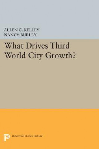 Book What Drives Third World City Growth? Nancy Burley