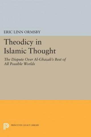 Kniha Theodicy in Islamic Thought Eric Linn Ormsby