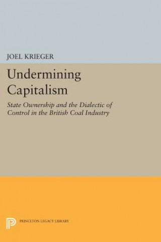Könyv Undermining Capitalism Joel Krieger