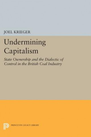 Buch Undermining Capitalism Joel Krieger