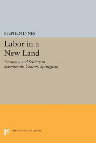 Könyv Labor in a New Land Stephen Innes
