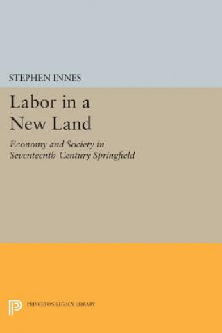 Libro Labor in a New Land Stephen Innes