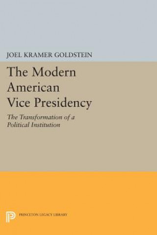 Kniha Modern American Vice Presidency Joel Kramer Goldstein