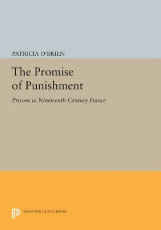 Kniha Promise of Punishment Patricia O'Brien